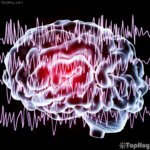 encefalografia-cerebro