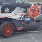 mlbf_544136883_th_43