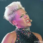 cantante pink