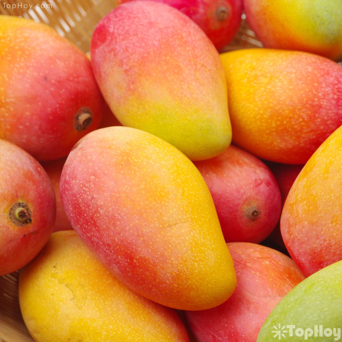 mangos - TopHoy