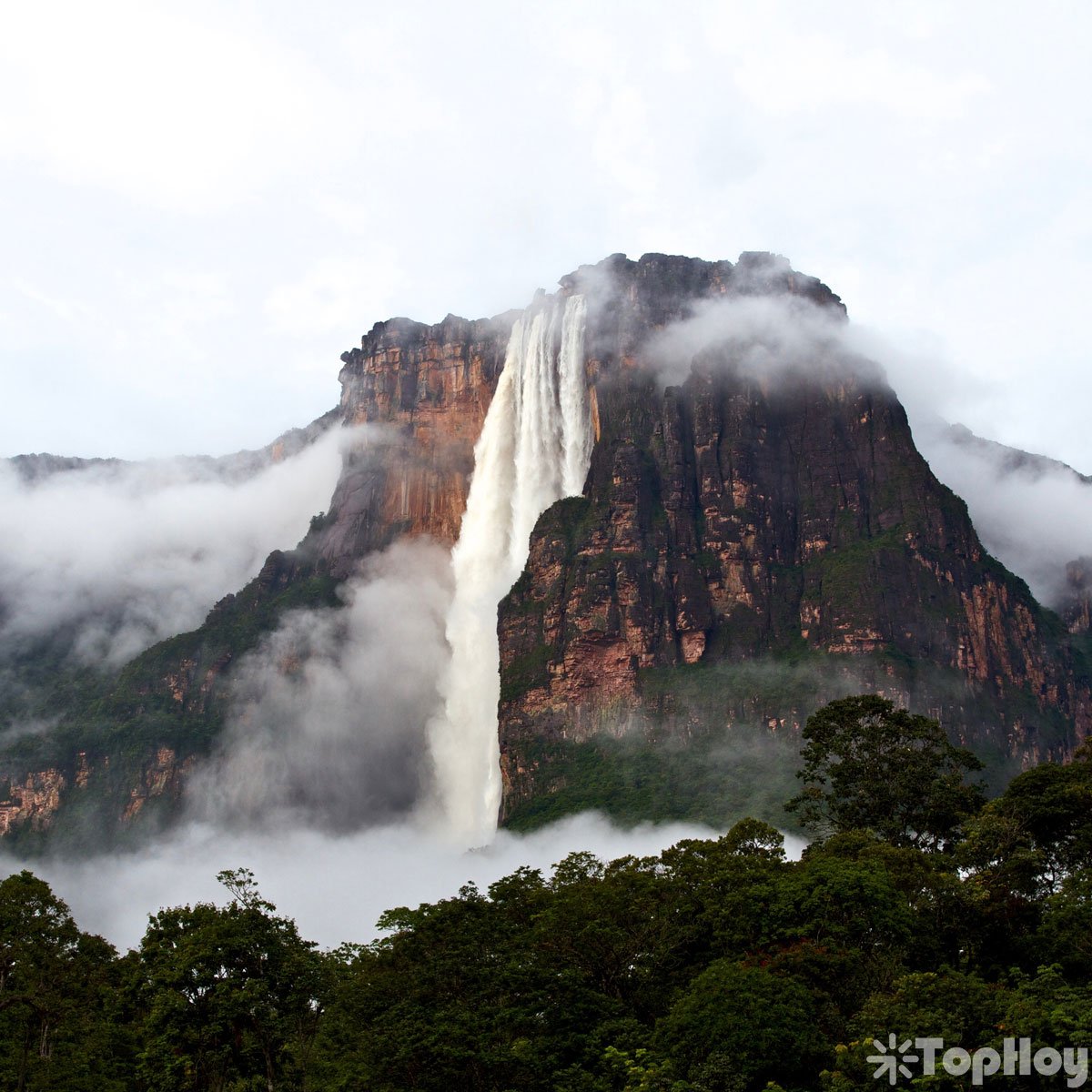 Водопад ангела венесуэла. Райский водопад анхель. Водопад анхель это. Парк канайма южная америка. Венесуэла парк канайма гора рорайма.