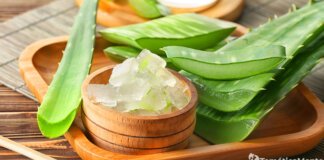 11 beneficios de la sábila para el cuerpo humano 11 beneficios de la sábila para el cuerpo humano