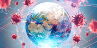 10 de los virus mortales que han afectado a la humanidad 10 de los virus mortales que han afectado a la humanidad