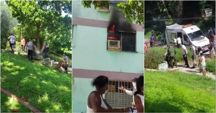 204006532_4609500859062452_8780106057732829073_n