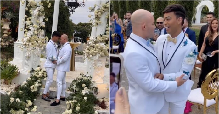 Pollito Tropical-boda (1)