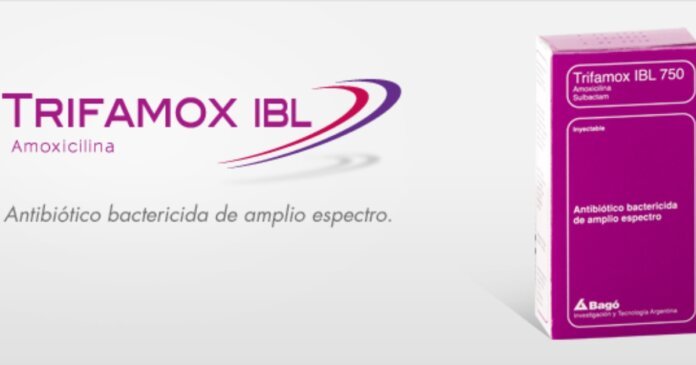medicamento