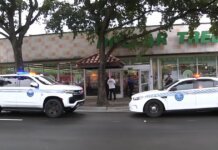 Hallan cuerpo de una mujer dentro de un congelador en un Dollar Tree de Miami