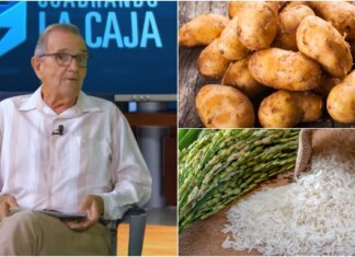 “No somos asiáticos”: Polémica tras declaraciones de funcionario sobre el consumo de papa y arroz en Cuba