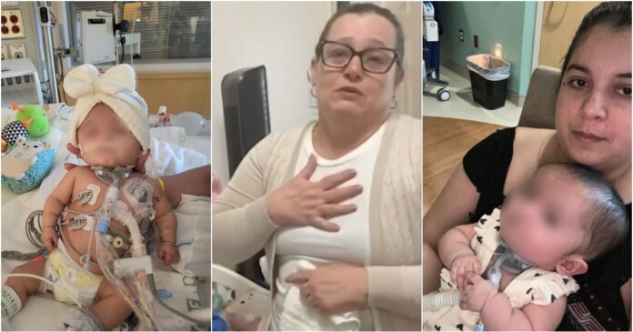 doctora cubana detenida por ICE 3