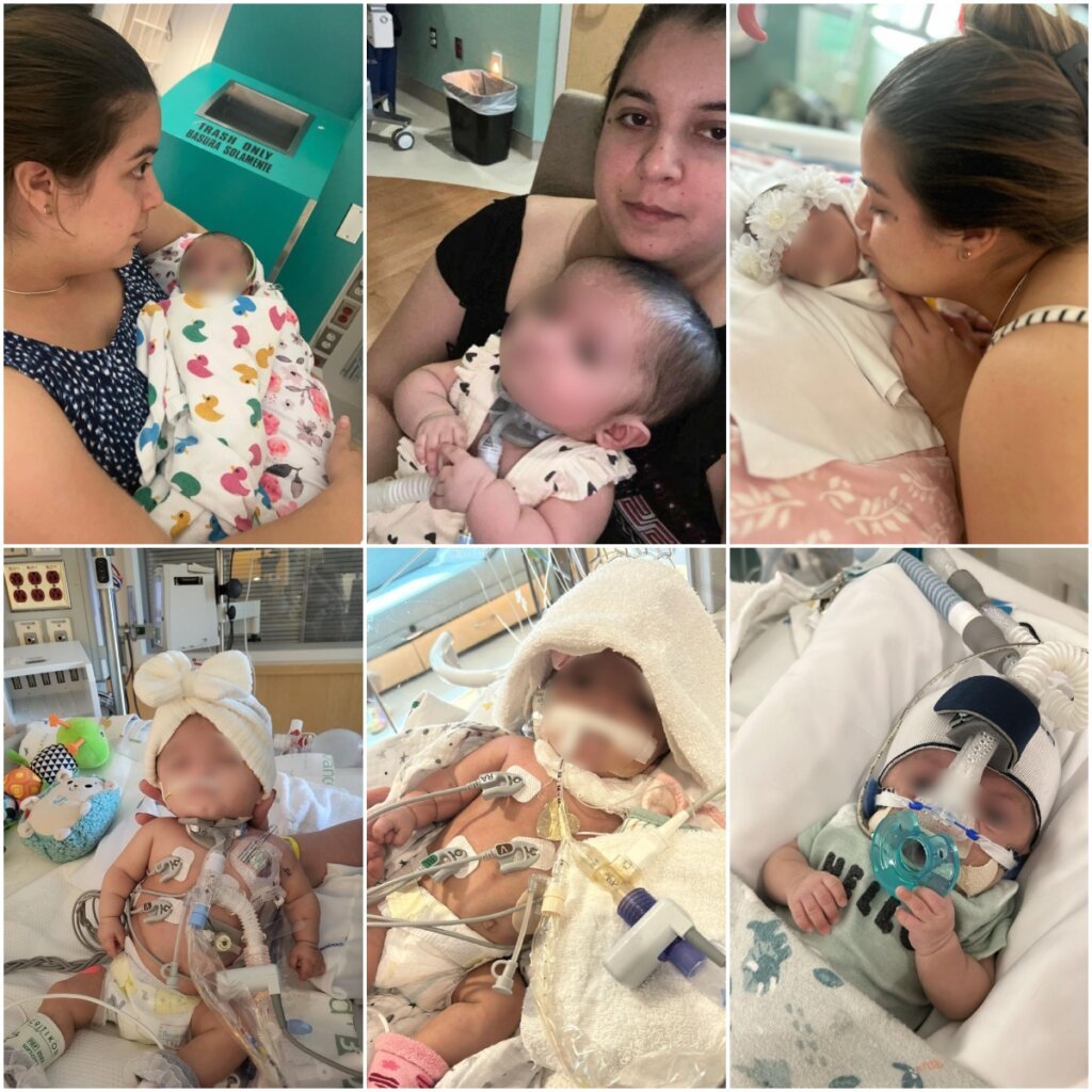 Madre de doctora cubana detenida por ICE: "Su bebé enferma la necesita" 2 Madre de doctora cubana detenida por ICE: "Su bebé enferma la necesita" 2